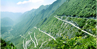 ������Ƶ